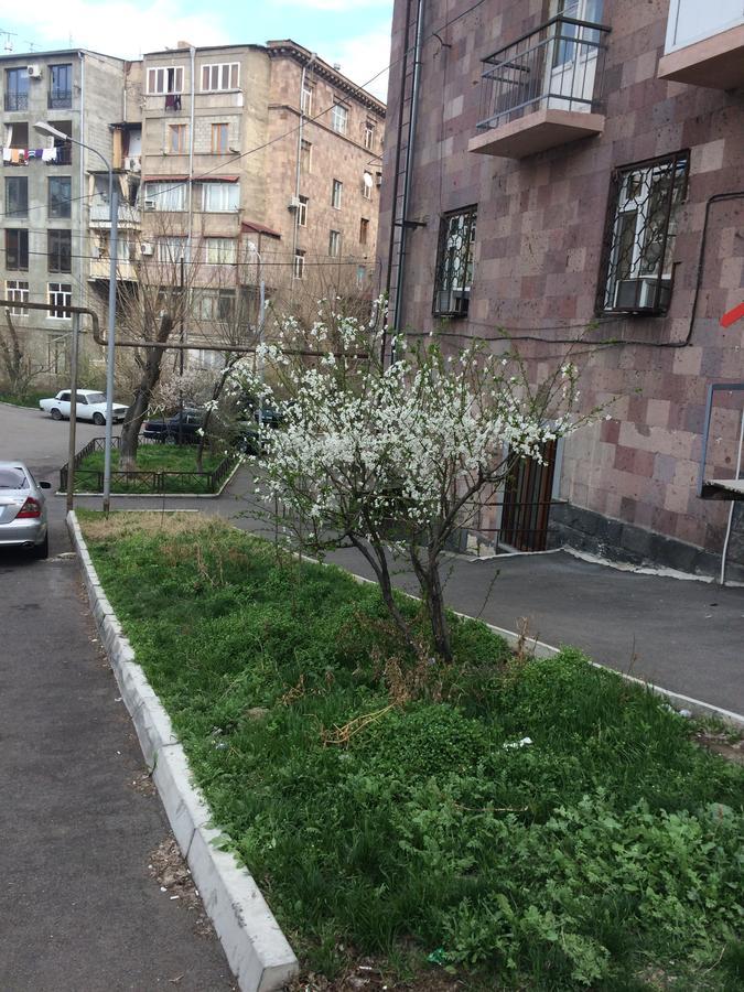 Apartment In The Center Of Ereván Exterior foto
